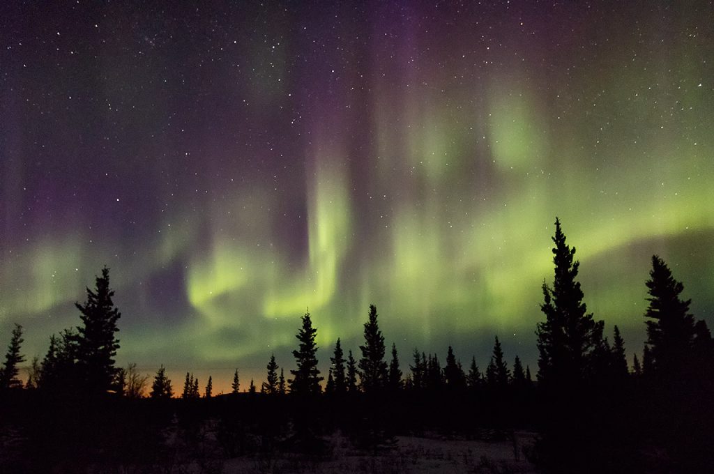 Northern Lights in Healy, Alaska