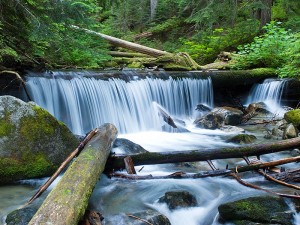 Surprise Creek in the Snoqualmie National Forest