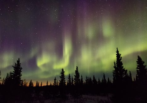 Northern Lights in Healy, Alaska