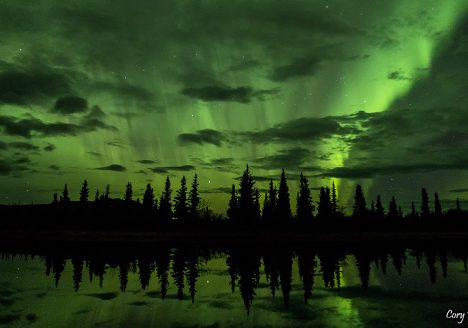 Northern Lights at Otto Lake. Healy, Alaska