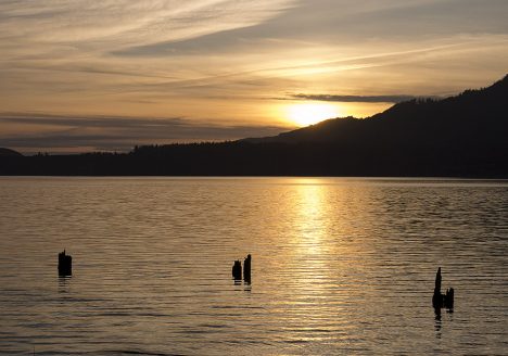 Lake Quinault in Olympic National Park. Sunset.